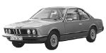 BMW E24 B242E Fault Code