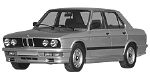 BMW E28 B242E Fault Code